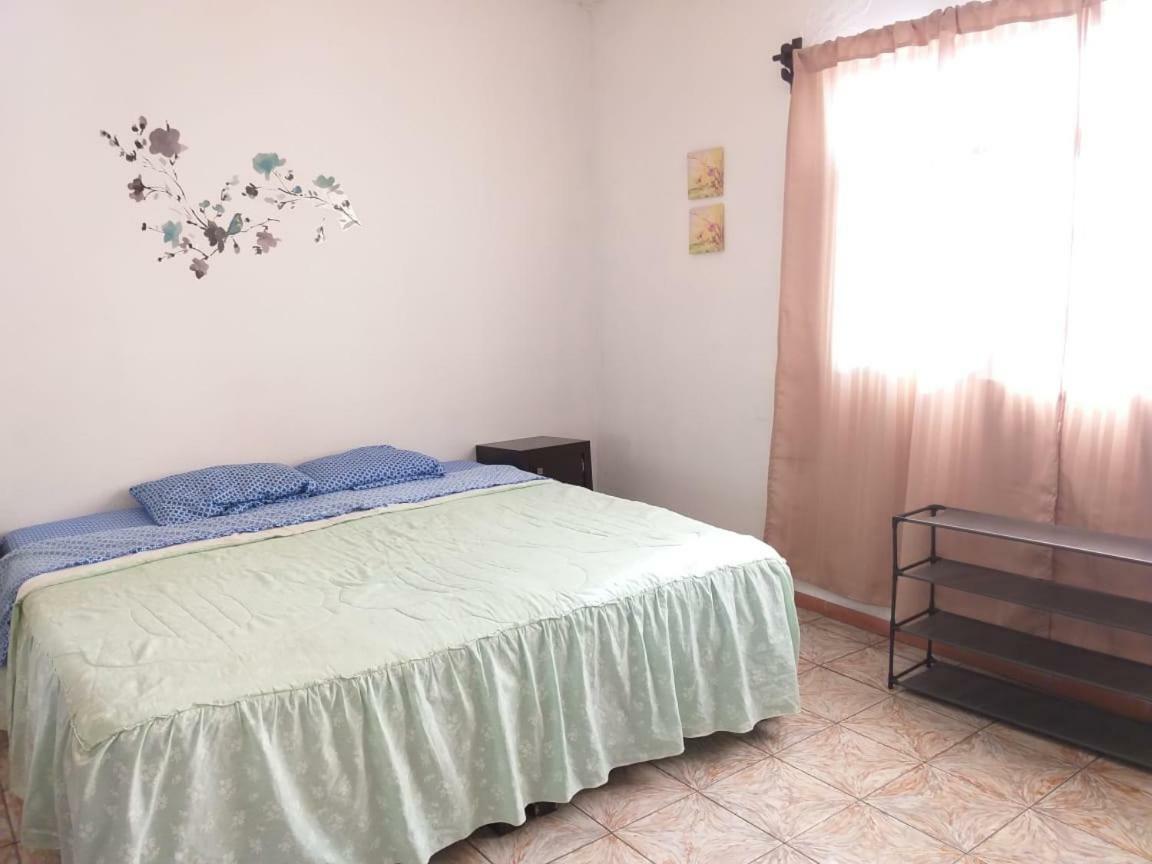 Julio House Pansiyon León Dış mekan fotoğraf